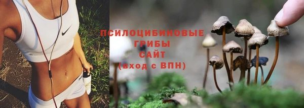 крисы Каменск-Шахтинский