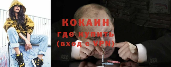 соль курить ск Каменка