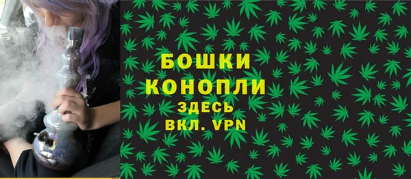 спайс Каменногорск
