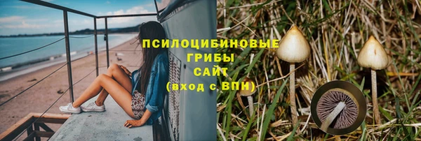 крисы Каменск-Шахтинский