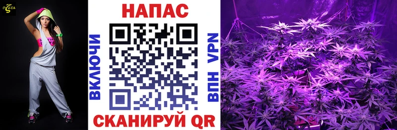 Конопля ГИДРОПОН  Купить  Данилов 